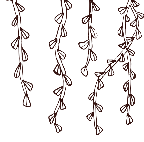 hangers2 hangers2